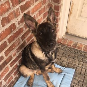 Meet your Posher, Megan