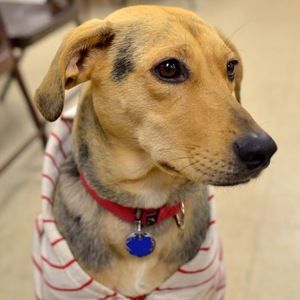 Meet your Posher, Karen