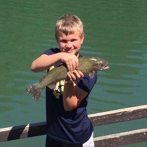 Meet your Posher, Nathan