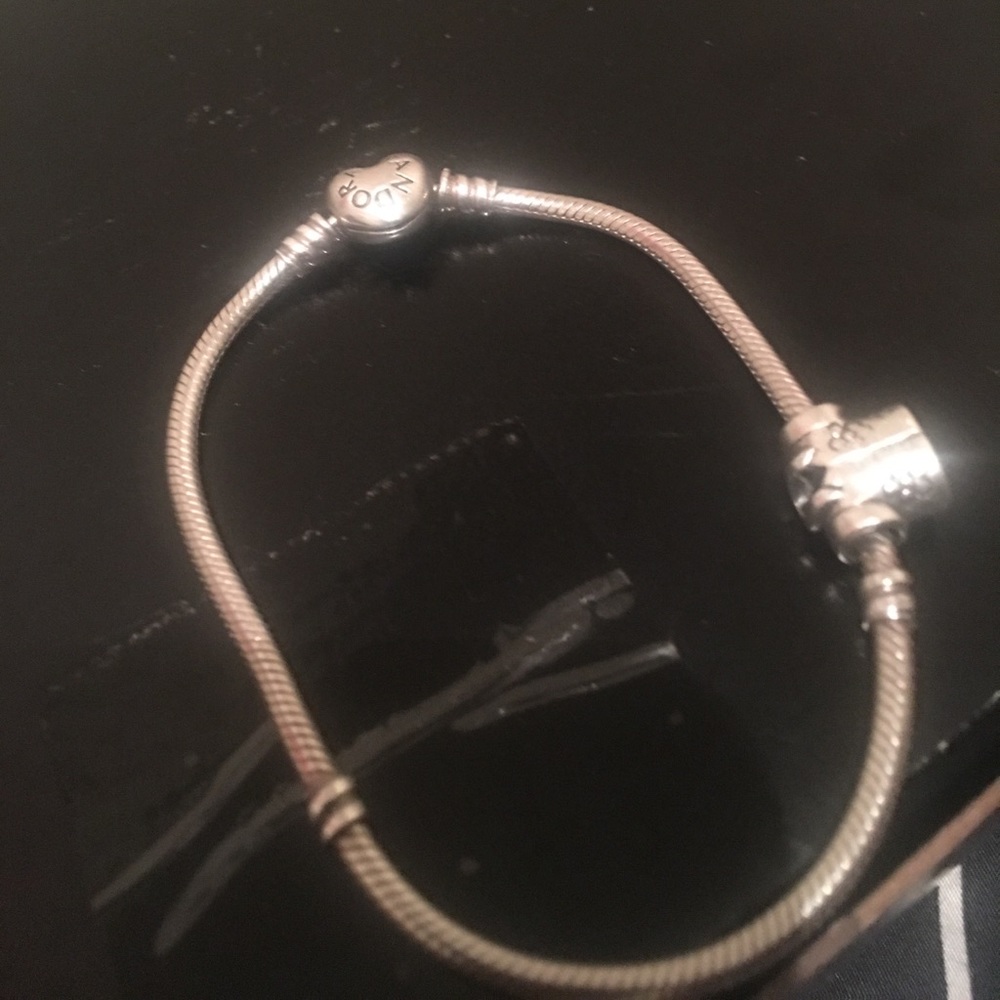 Trading please don't buy ! Pandora/ Charm