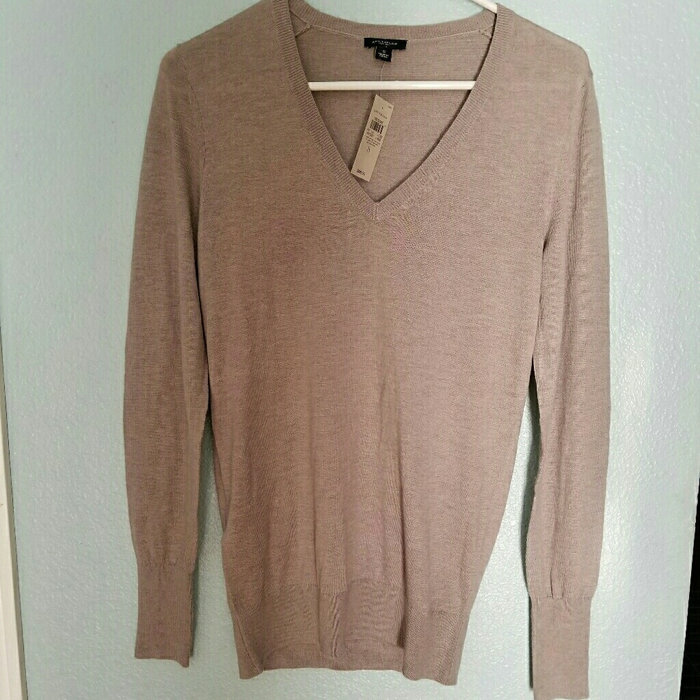 Ann Taylor sweater