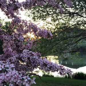 Meet your Posher, Kristi