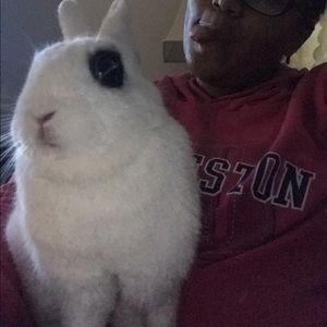 Meet your Posher, Samarah