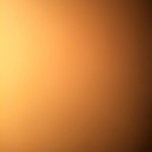 Meet your Posher, Paige