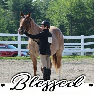 Meet your Posher, Elisha