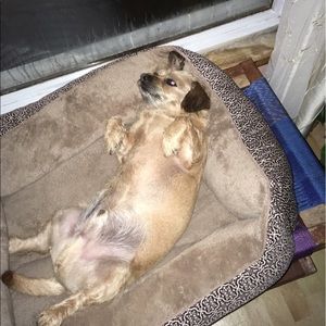 Meet your Posher, Juan