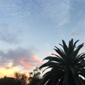 Meet your Posher, Viv