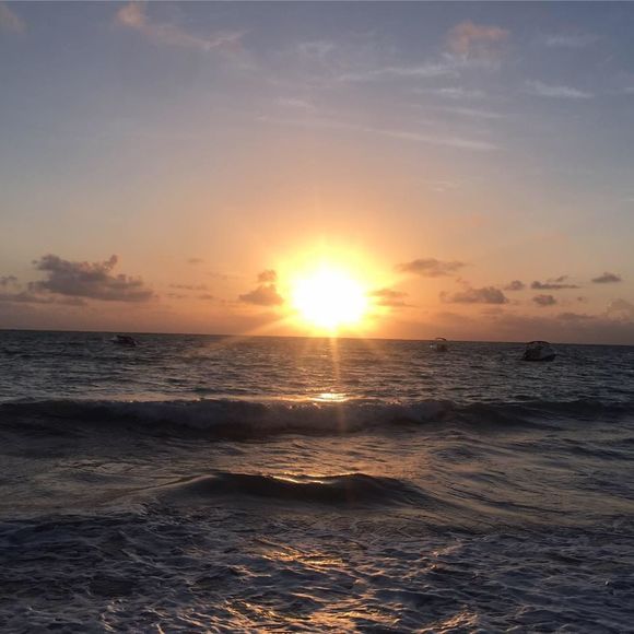 Meet your Posher, Patricia - Picture 1 of 1