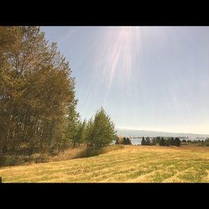 Meet your Posher, Jacoby