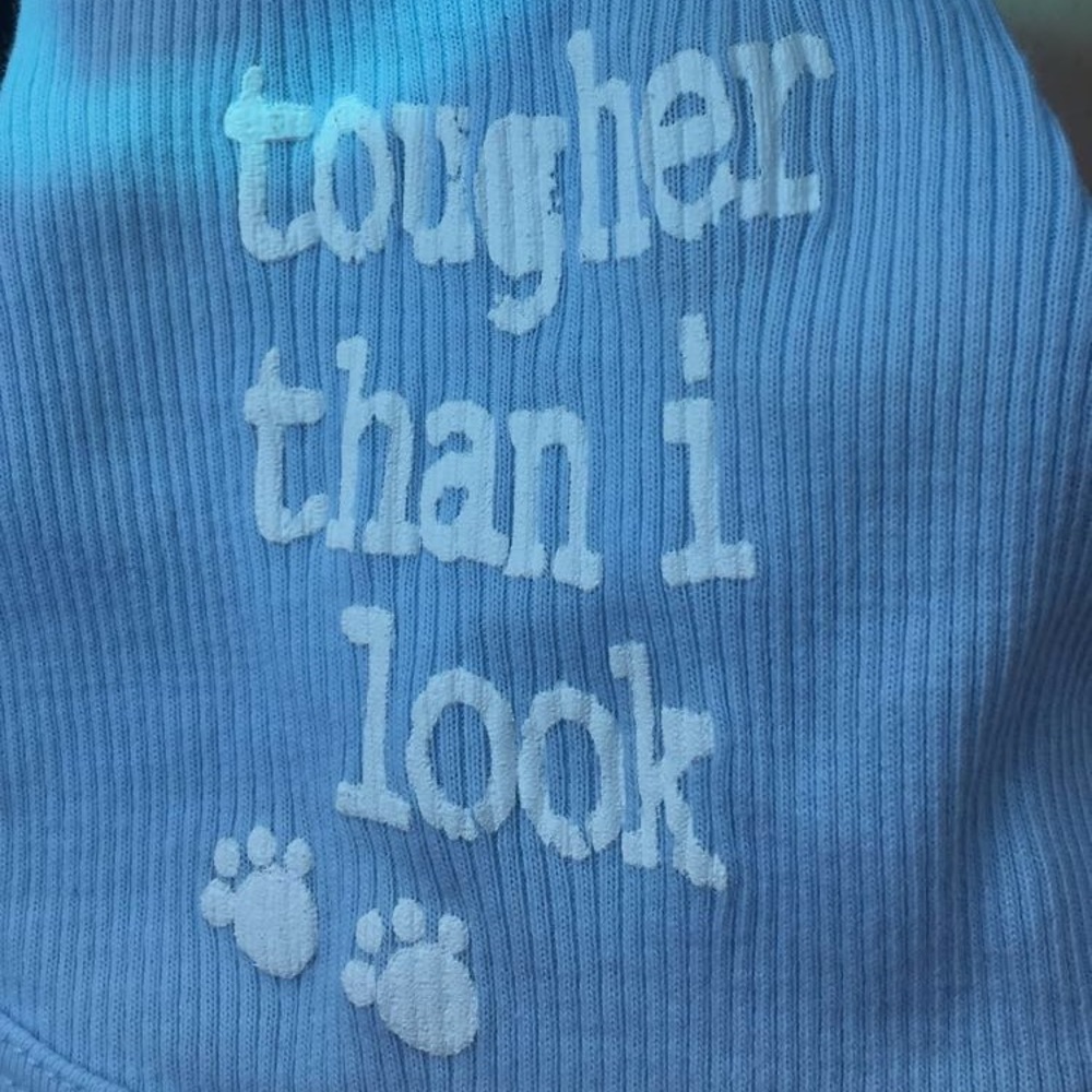 Shirt for puppy!