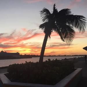 Meet your Posher, Paula