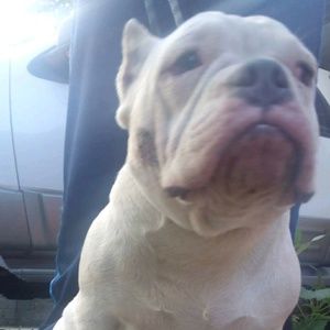 Meet your Posher, Diego