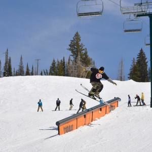 Meet your Posher, Cole