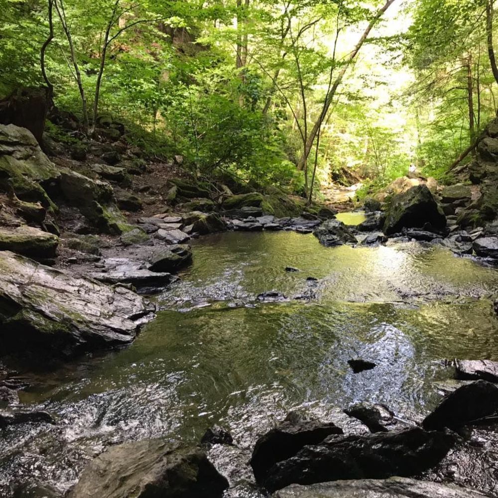 Meet your Posher, Nyk