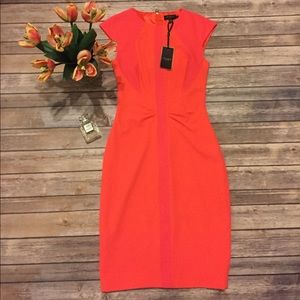 Ted Baker Acerola Mesh Panel Body Con Sz 1 Dress