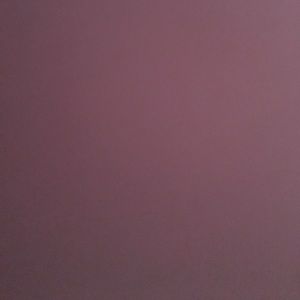 Meet your Posher, Rosa