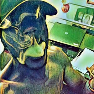 Meet your Posher, Billy