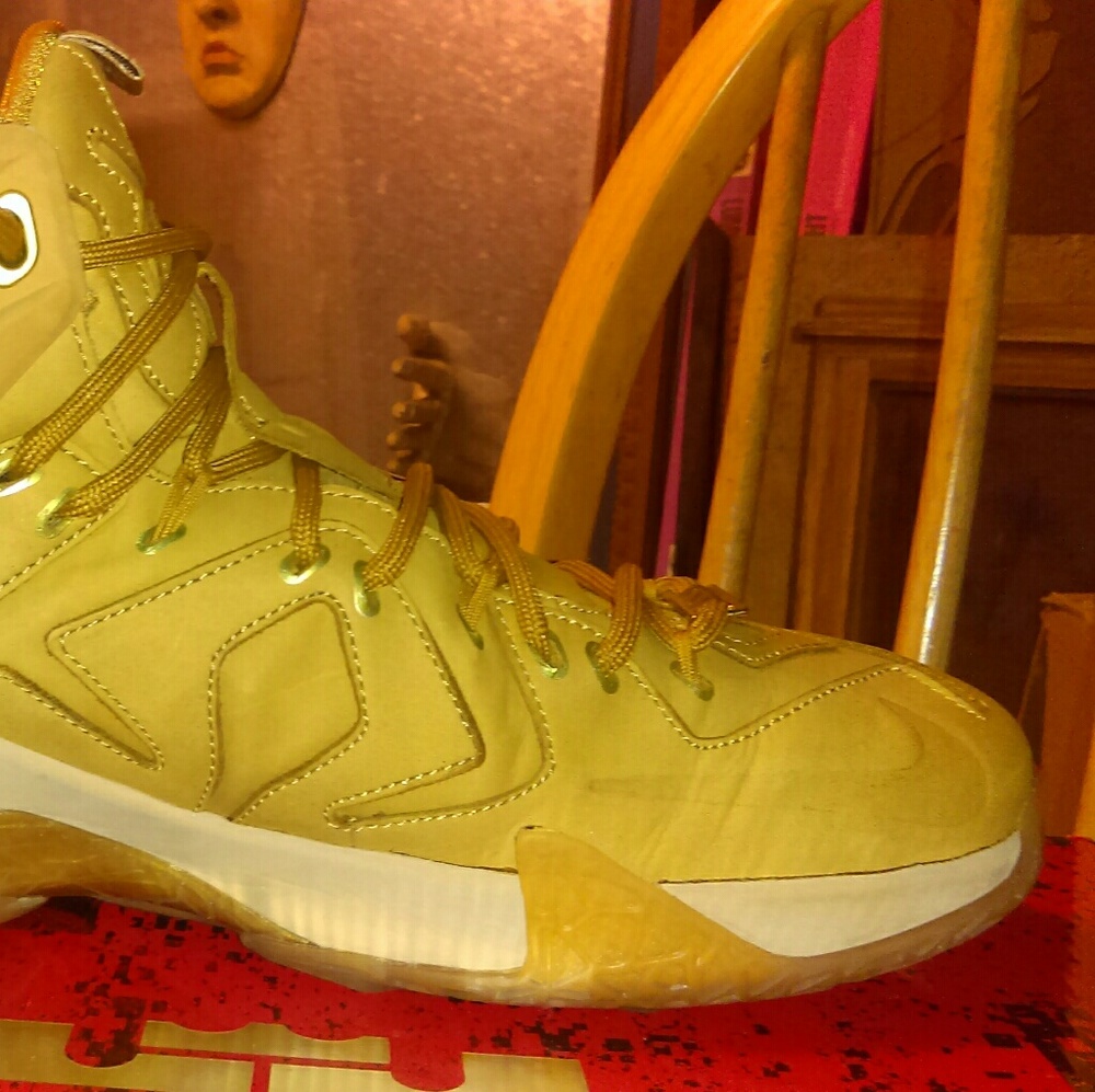 Nike leben james