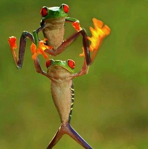 Meet your Posher, Mary