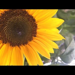 Meet your Posher, Annemarie