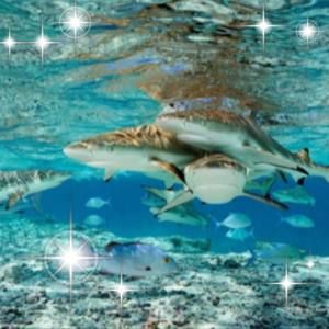 Meet your Posher, Kaytlyn