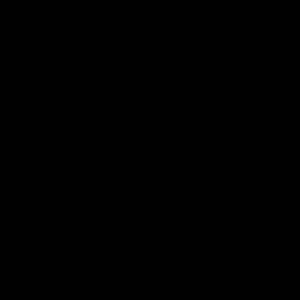 Meet your Posher, Rodney