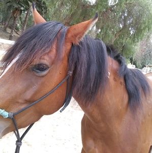 Meet your Posher, Kay