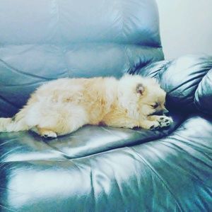 Meet your Posher, Jasmine