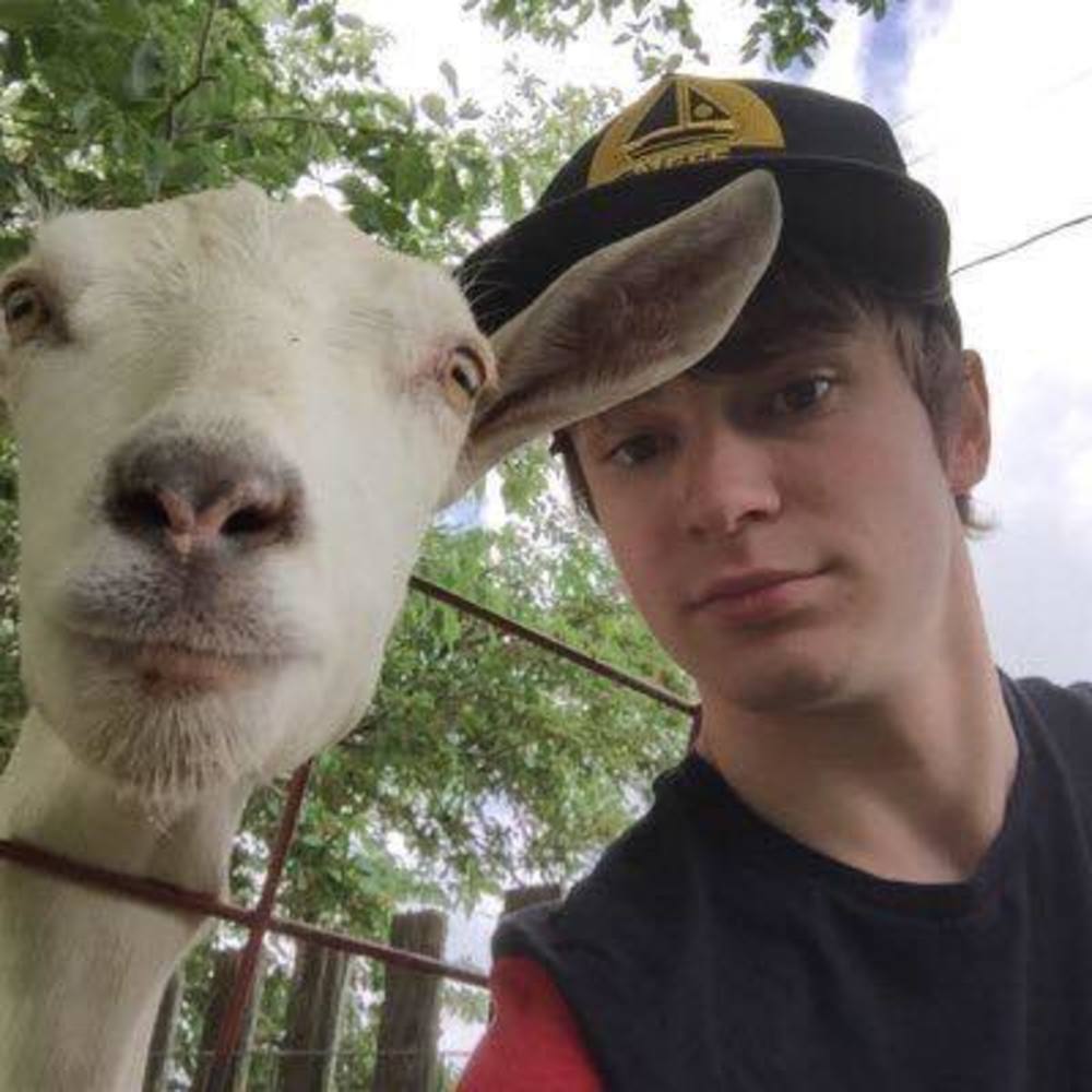Meet your Posher, Brady