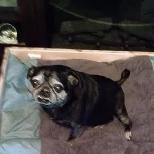 Meet your Posher, Joann