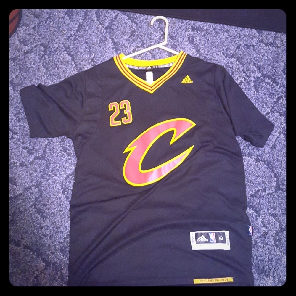 Lebron james cavaliers nba jersey