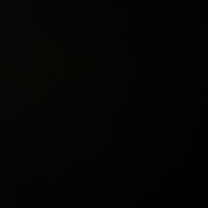 Meet your Posher, Sean