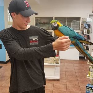 Meet your Posher, Simon