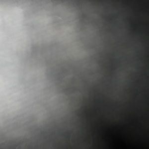 Meet your Posher, Wyatt