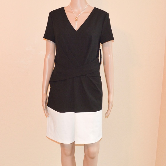CYNTHIA STEFFE Black & White 'Nikki' Colorblock Fit & Flare Dress NWT Size 8 - Picture 2 of 7