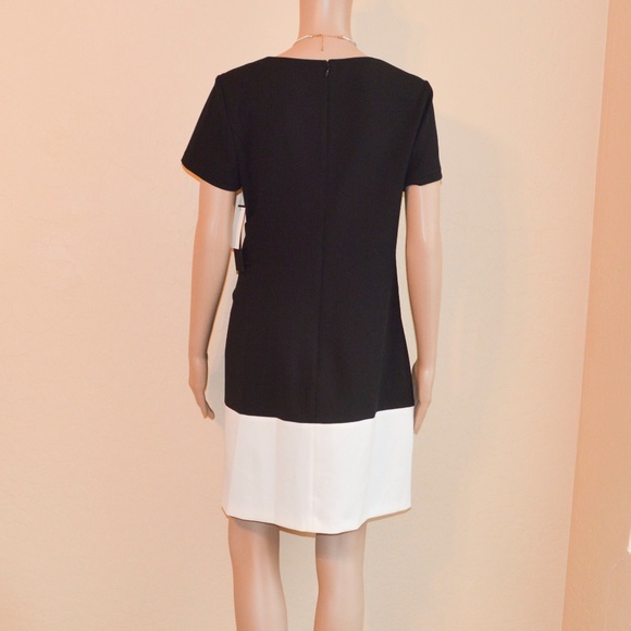 CYNTHIA STEFFE Black & White 'Nikki' Colorblock Fit & Flare Dress NWT Size 8 - Picture 5 of 7