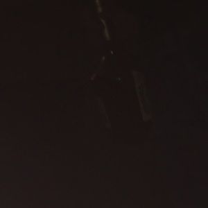 Meet your Posher, Donovan