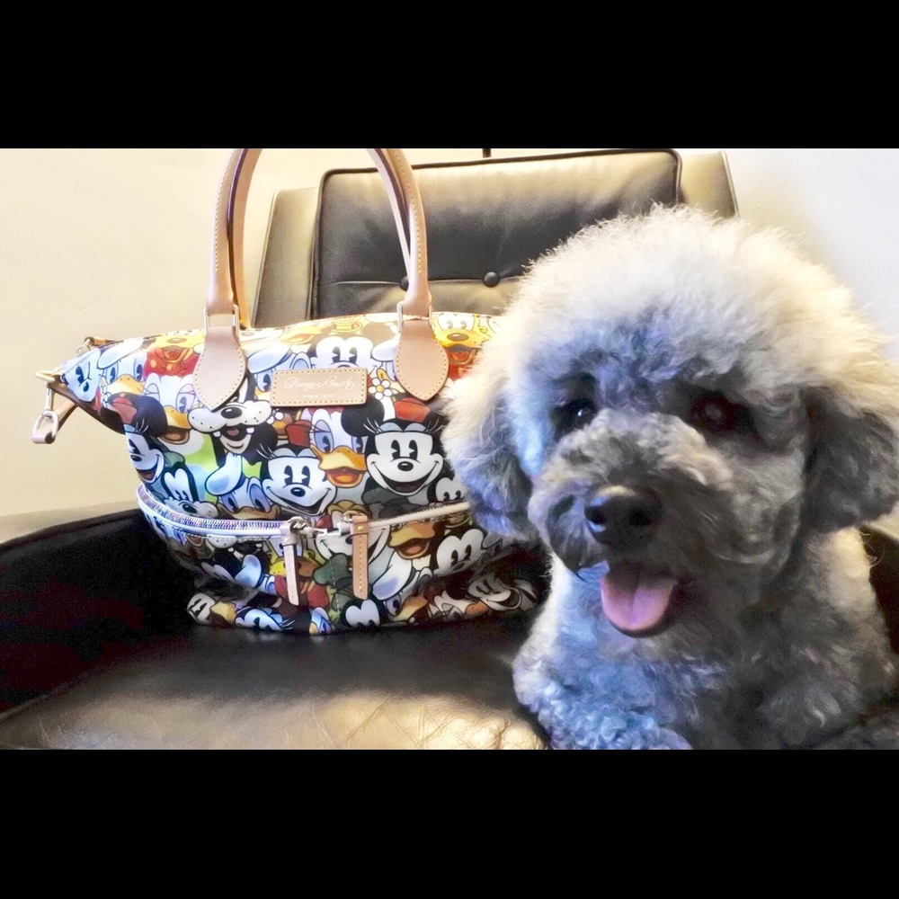 Poodle Friendly 👌🐩 Smoke Free Closet 🚫🚬