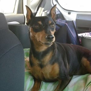 Meet your Posher, Michelle