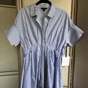 NWT Blue Stripe Dress by Victoria Beckham x Target