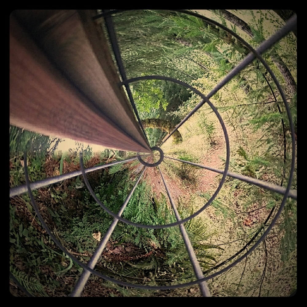 Meet your Posher, Swheaties