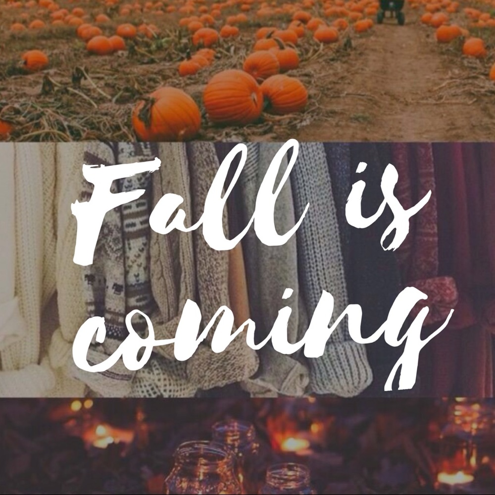 🍁🍂🍃Fall is coming! 🍃🍂🍁 New Closet Items!