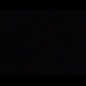 Meet your Posher, Pat