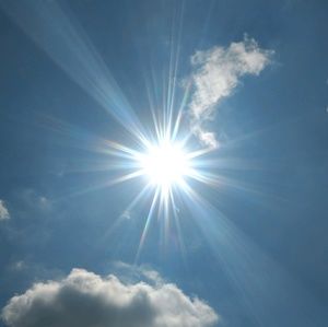 Meet your Posher, Whitney