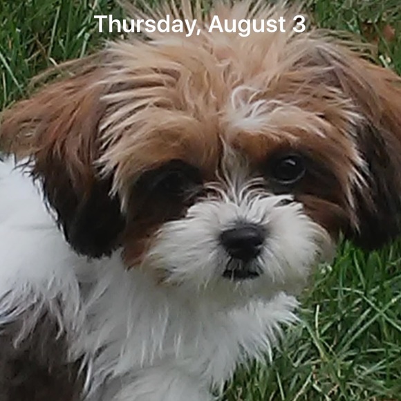 Meet your Posher, Karleen - Picture 1 of 1