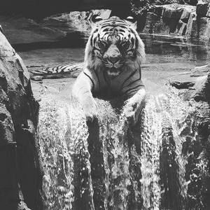 Meet your Posher, Artem