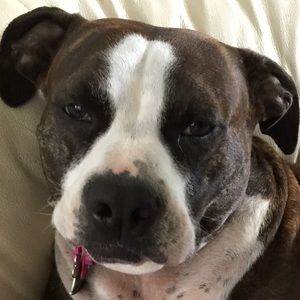 Meet your Posher, Aaron