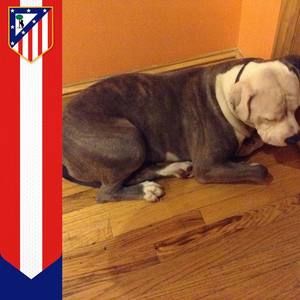 Meet your Posher, Thommy