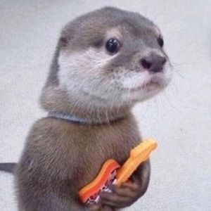 Meet your Posher, Jena