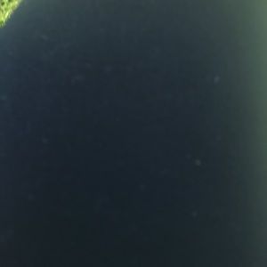 Meet your Posher, Mckenzie